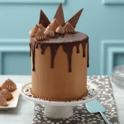 Wilton Small & Tall 2-Piece Aluminum Round Cake Pan Set, 6-Inch -Wilton Store enkdtu0qpcxykjrvytbj 56051.1691047129