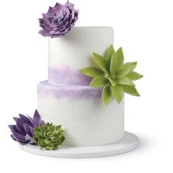 Wilton Gum Paste Succulents Cut-Outs Set, 9-Piece -Wilton Store ihhcyxg2rzxfbyyt9cyf 12757.1691047018