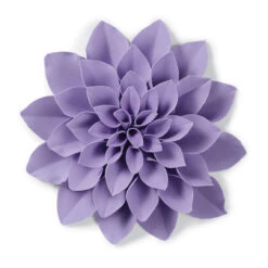 Wilton Gum Paste Succulents Cut-Outs Set, 9-Piece -Wilton Store ikpsslk8lwyiuzavyhgx 17167.1691047018