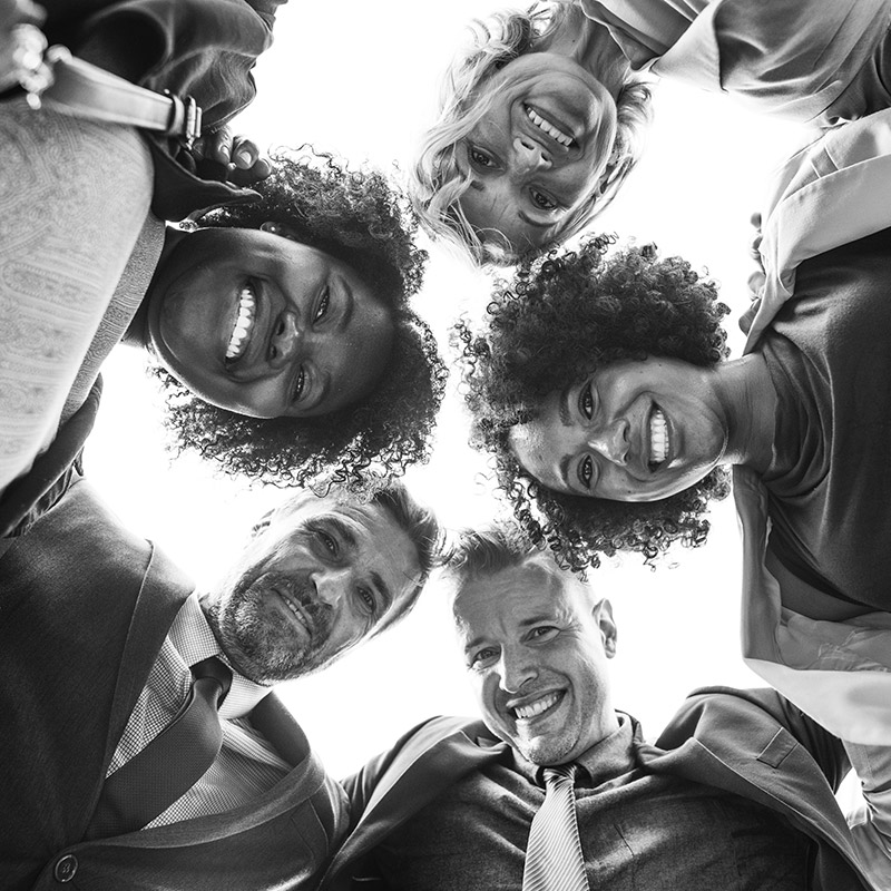 Wilton Store -Wilton Store team avatar landingpage one pager elemental flatsome ux builder