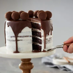 Wilton Small & Tall 2-Piece Aluminum Round Cake Pan Set, 6-Inch -Wilton Store vhfh6bhcd4hu3thp7v62 24801.1691047129