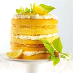 Wilton Easy Layers Cake Pan - Set Of 5 -Wilton Store wilton easy layers cake pan set of 5 p15058 68776 image